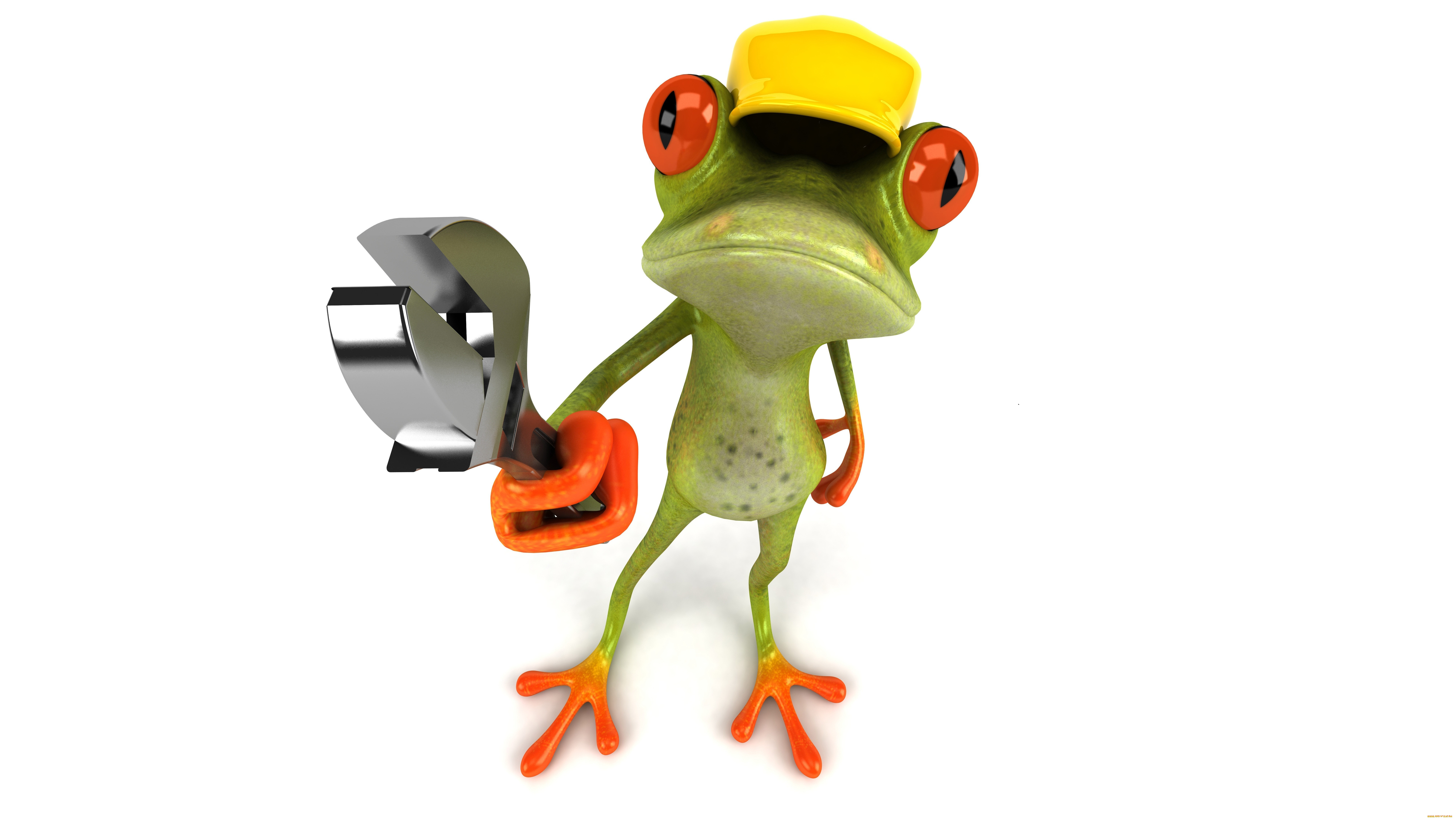 3 ,  , humor, , , , , , free, frog